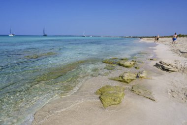 Es Trenc Plajı, Campos, Mayorka, Balear Adaları, İspanya