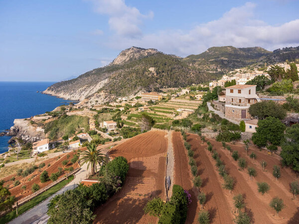 cultivation terraces, Banyalbufar, Majorca, Balearic Islands, Spain