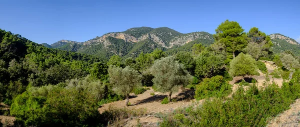 stock image Superna valley and Mola de Planisi, Esporles, Tramuntana sierra, Majorca, Balearic Islands, Spain