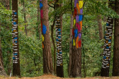 Bosque de Oma, 1984, Agustin Ibarrola, Kortezubi, Vizcaya, Euzkadi, İspanya
