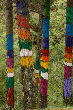 Bosque de Oma, El arco iris de Naiel, 1984, Agustin Ibarrola, Kortezubi, Vizcaya, Euzkadi, İspanya