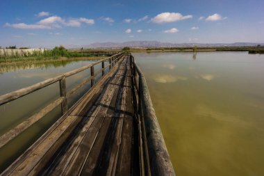 parque natural El Fondo, Elche, Alicante, İspanya, Avrupa