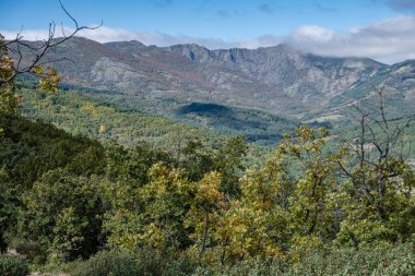 Sierra Norte de Guadalajara Doğal Parkı, Cantalojas, Guadalajara, İspanya