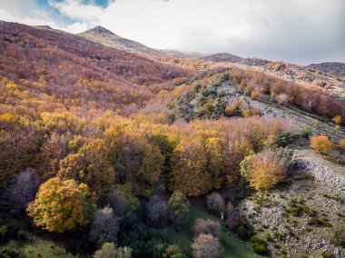 Tejeda de Tosande. Fuentes Carrionas Doğal Parkı, Fuente Cobre- Palentina Dağı. Palencia, İspanya