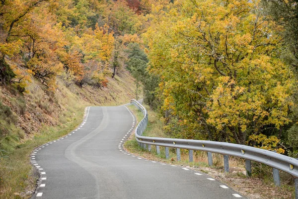 Sonbaharda meşe koruluğundan geçen yol, Las Merindades, Burgos, İspanya