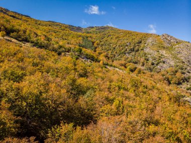 Tejera Negra, Sierra Norte de Guadalajara Doğal Parkı, Cantalojas, Guadalajara, İspanya