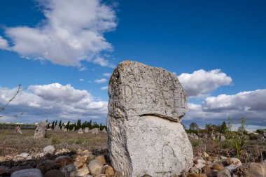 Vacceos cenaze taşı, Las Ruedas 'ın mezarlığı, antik Vaccea şehri Pintia, Padilla de Duero, Valladolid, İspanya