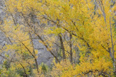 Yecla vadisi, Santo Domingo de Silos, Burgos bölgesi, İspanya