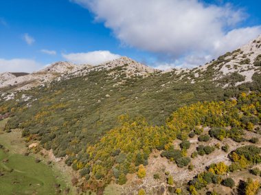 Tejeda de Tosande. Fuentes Carrionas Doğal Parkı, Fuente Cobre- Palentina Dağı. Palencia, İspanya