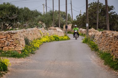 Geleneksel taş duvarlar, Formentera, Pitiusas Adaları, Balear Community, İspanya