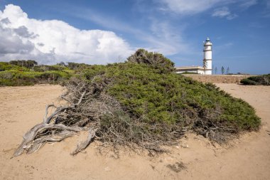 Ses Salines Deniz Feneri, Mallorca, Balear Adaları, İspanya