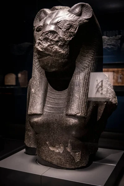 Fragmento Uma Estátua Deusa Sekhmet Granito Preto Xviii Dinastia Reinante — Fotografia de Stock