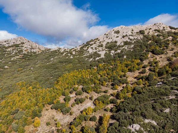 Tejeda Tosande Fuentes Carrionas自然公园 Fuente Cobre Palentina山 西班牙帕伦西亚 — 图库照片