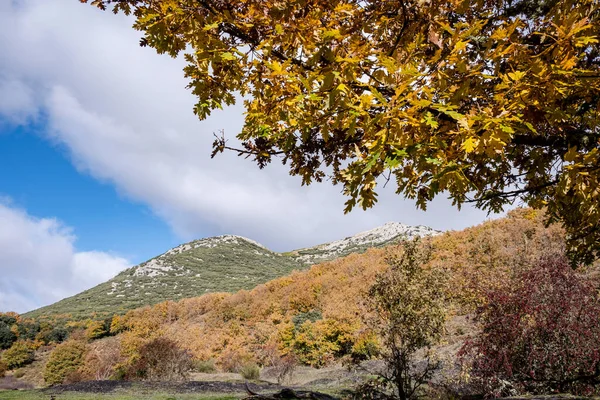Tejeda Tosande Fuentes Carrionas Naturpark Fuente Cobre Palentina Berget Palencia — Stockfoto