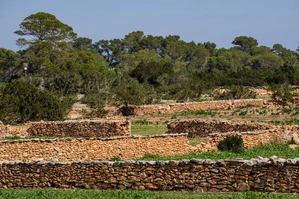 農業用地のための伝統的な石の壁 Formentera Pitius Islands Balearic Community スペイン — ストック写真