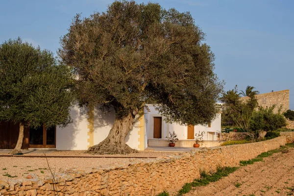 Casa Típica Formentera Islas Pitiusas Comunidad Baleares España —  Fotos de Stock