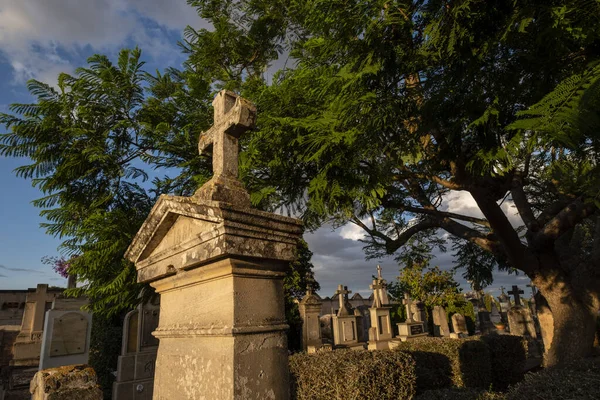 Кладбище Санта Мария Майорка Балеарские Острова Испания — стоковое фото
