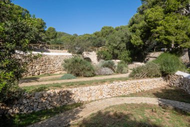 Akdeniz 'in yerel bitki bahçesi, Sa Dragonera doğal parkı, Mallorca, Balear Adaları, İspanya