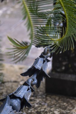 Soller Mezarlığı, Mallorca, Balear Adaları, İspanya