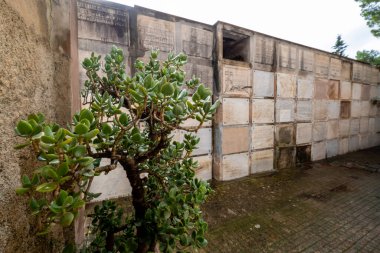 Anglo-Sakson vatandaşlarının mezar taşları, Cenova Belediye Mezarlığı, Mallorca, Balear Adaları, İspanya