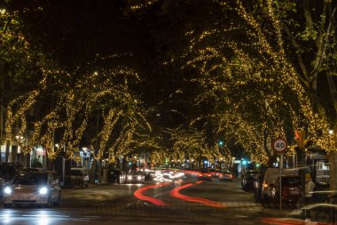 Noel ışıklandırmalı ağaçlar, Palma, Mallorca, Balear Adaları, İspanya