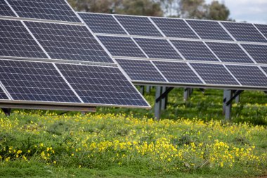 Sa Caseta Parc Fotovoltaic, güneş enerjisi plakaları, Llucmajor, Mallorca, Balearic Adaları, İspanya