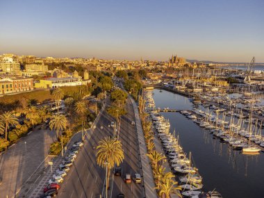 Paseo Maritimo 'nun yanındaki Palma marinası, Mallorca, Balearic Adaları, İspanya