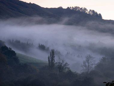 niebla matutina, Ucieda, parque natural del Saja-Besaya, Cantabria, İspanya