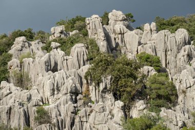 Karst, Bosc de ses Monges, Lluc, Escorca, Mallorca, Balearic Adaları 'nın jeolojik mabedi.