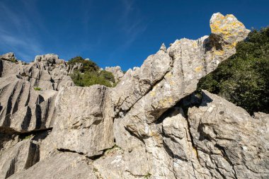 Karst, Bosc de ses Monges, Lluc, Escorca, Mallorca, Balearic Adaları 'nın jeolojik mabedi.