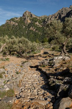 Balitx, Mallorca, Balear Adaları, İspanya