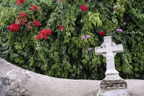 Cimitero Municipale Genova Maiorca Isole Baleari Spagna — Foto Stock