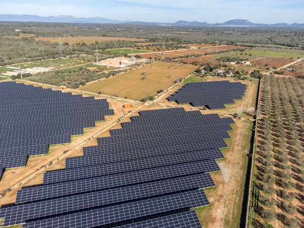 Parc Fotovoltaic Can Xim Aguila Solar Energy Plates Llucmajor Mallorca — Stock Photo, Image