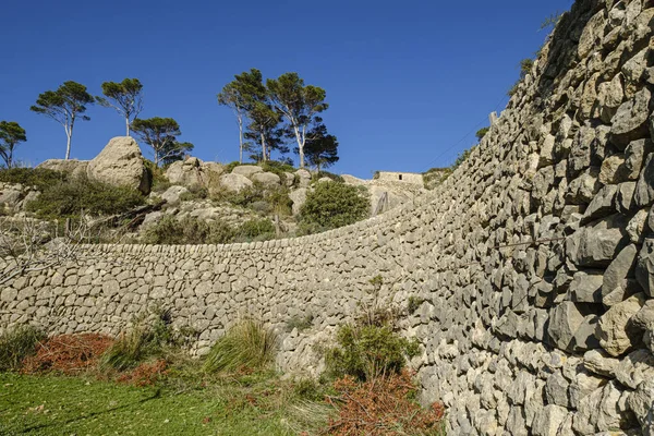 Terrassen Trapa Nature Reserve Andratx Mallorca Balearen Spanien — Stockfoto