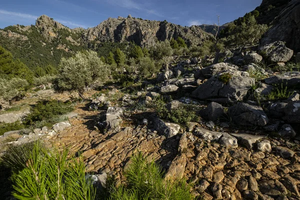Gepflasterter Weg Von Balitx Mallorca Balearen Spanien — Stockfoto