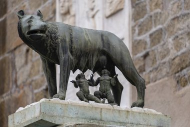 Roma mitolojisine göre Roma, Roma, Lazio ve İtalya 'nın kurucuları Romulus ve Remus' a hemşirelik yapan dişi kurt Luperca.