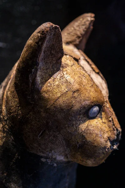 Votive Όρκους Οποία Περιείχε Μια Μούμια Γάτα Gregorian Αιγυπτιακό Μουσείοmusei — Φωτογραφία Αρχείου