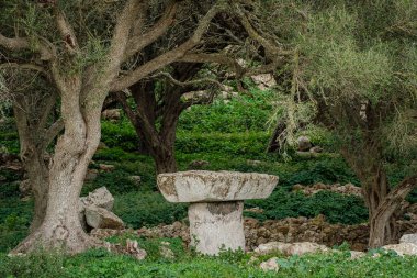 Torrellafuda, Taula türbesi, Talayotik kasaba, Ciutadella, Menorca, Balear Adaları, İspanya