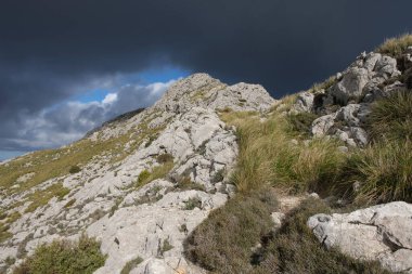 Serra Des Teixos, Escorca, Mallorca, Balear Adaları, İspanya