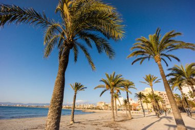 Arenal plajı. Mallorca. Islas Baleares. İspanya.