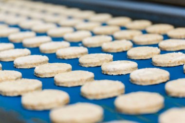 Galletas marineras 