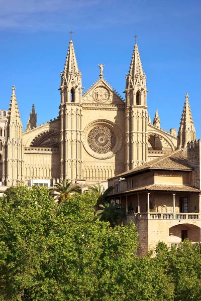 Catedral Mallorca Siglo Xiii Siglo Palma Mallorca Islas Baleares Іспанія — стокове фото