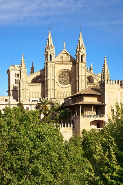 マヨルカ大聖堂 シグロ Xiii Signlo Palma Mallorca Islas Baleares スペイン — ストック写真