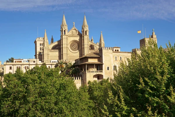 Mallorca Katedrali Siglo Xiii Siglo Palma Mallorca Islas Baleares Spanya — Stok fotoğraf