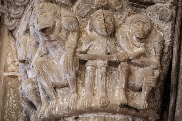Kapitał Transeptu Reprezentuje Małpę — Zdjęcie stockowe