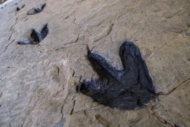 huellas de Dinozorio, yatimiento de Los Cayos, Cornago, La Rioja, İspanya, Avrupa