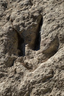 huellas de Dinozorio, yacimiento de Valdecevillo, Enciso, La Rioja, İspanya, Avrupa