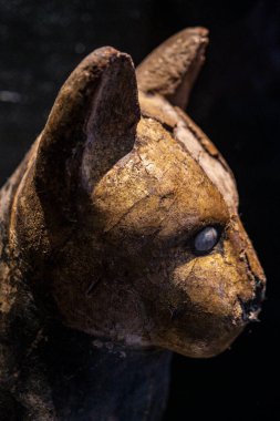 İçinde kedi mumyası, Gregorian Mısırlı Musei Vaticani, Vatikan Devleti, Romanlar, Lazio, İtalya 'nın yer aldığı adak yeminleri