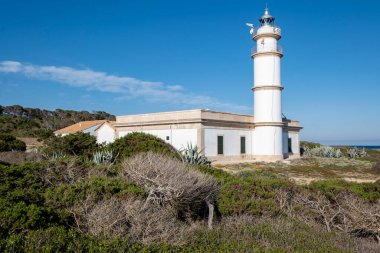 Cap de ses Salines deniz feneri, 19. yüzyıl, Santanyi, Mallorca, Balear Adaları, İspanya