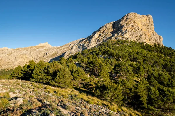 Coll Des Cards Colers Penyal Migdia Mountain 1358 Mts Serra — Stockfoto